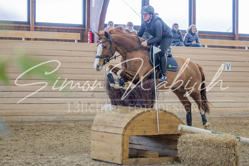 20260222-_3LI1735 | Tierfotografie Pferde, Hunde, Katzen, Haustiere.
Turnierfotografie Reitturniere, Reiten, Springreiten, Dressur in Hanau, dem Main-Kinzig-Kreis und dem Rhein-Main- Gebiet um Frankfurt