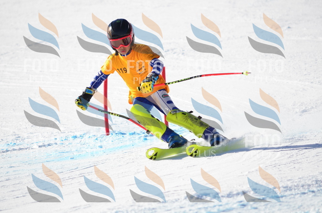 C6343 | holidayphoto