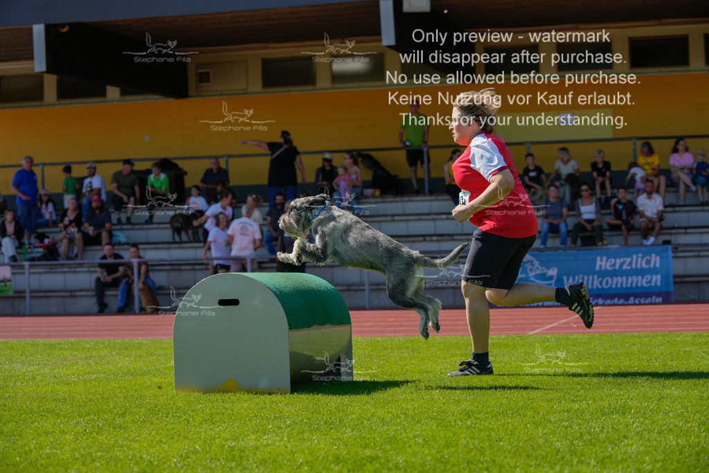 Sonntag_VK Hindernis (469 von 671) | stephaniefillaphotographie - Realisiert mit Pictrs.com