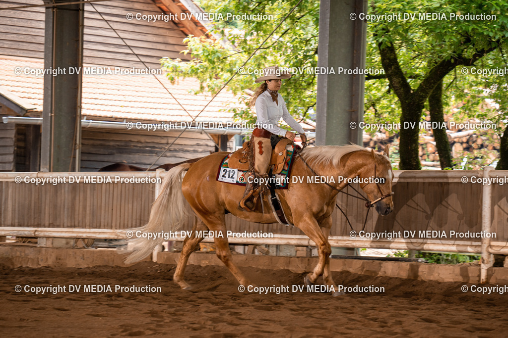 Erbach Tag 4-555 | dv-media-shop - Realisiert mit Pictrs.com