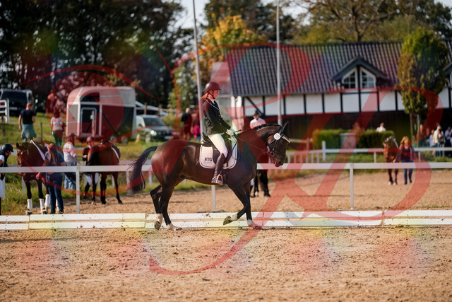 2026_10_03_Siefer-Hof_132304_Z63_83940650 | Professionelle Reitsport-, Turnier- und Eventfotografie von Robert Broda. Galerien mit ausgewählten und bearbeiteten Bildern direkt online ansehen und bestellen.
