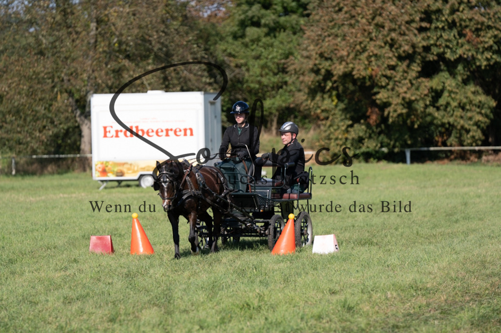 A7V04364 | Pferdefotograf