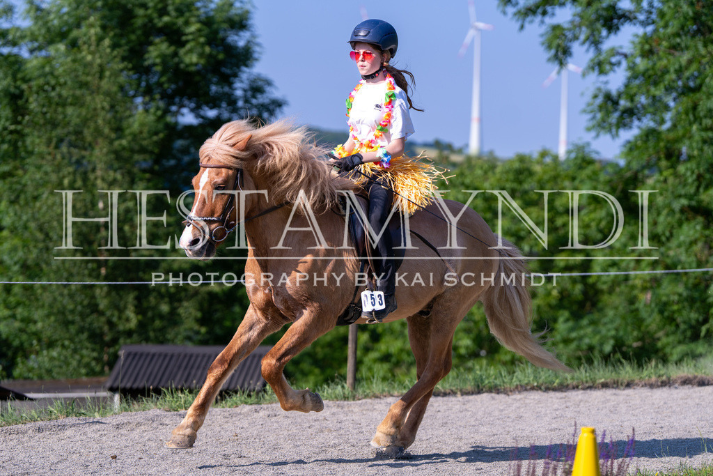 KAI07271 | Ihr sucht einen Fotografen für eure nächste OSI? Ich begleite auch euer Turnier für Islandpferde fotografisch.  - Realisiert mit Pictrs.com