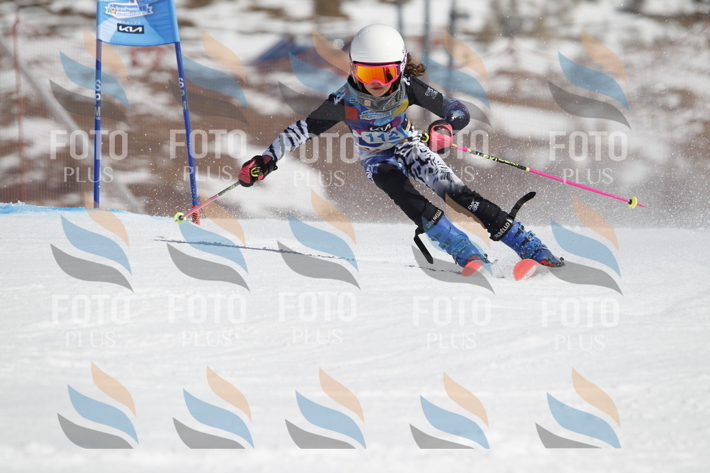 _U3G0536 | holidayphoto