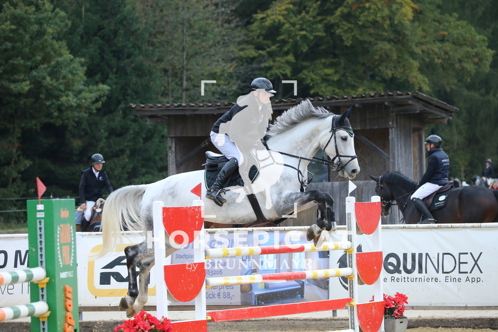 DL2Q2684 | Willkommen bei Brunnmayr - Design & Fotografie – Ihrem Spezialisten für Reitturniere und Pferdeveranstaltungen in Oberösterreich, Salzburg und Bayern! Seit über 17 Jahren sind wir leidenschaftlich dabei.