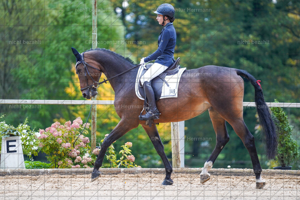20221008-FAH00703 | Diessen am Ammersee, 2022, Dressur- und Springturnier, Reitsportbilder, Turnierfotografen Bayern, Pferdefotografen, Fotoagentur Herrmann, Turnierbilder