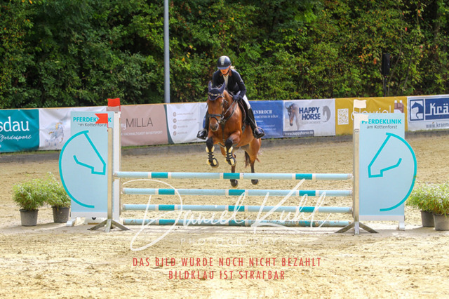 DKP40221 | Turniersportfotografie; Pferdefotografie; Dressurfotografie