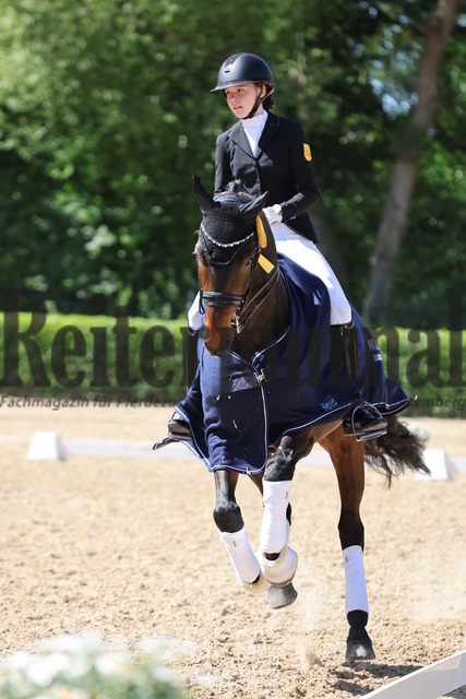 Böblingen_2025_Prfg.Nr.08_Dressurprüfung_Kl.M_Nürnberger Burgpokal_Siegerehrung_Prfg.Nr.08__ (47) | Alle Fotos der Reiterjournal Fotografin Doris Matthaes im Reiterjournal Online-Fotoshop. - Realisiert mit Pictrs.com