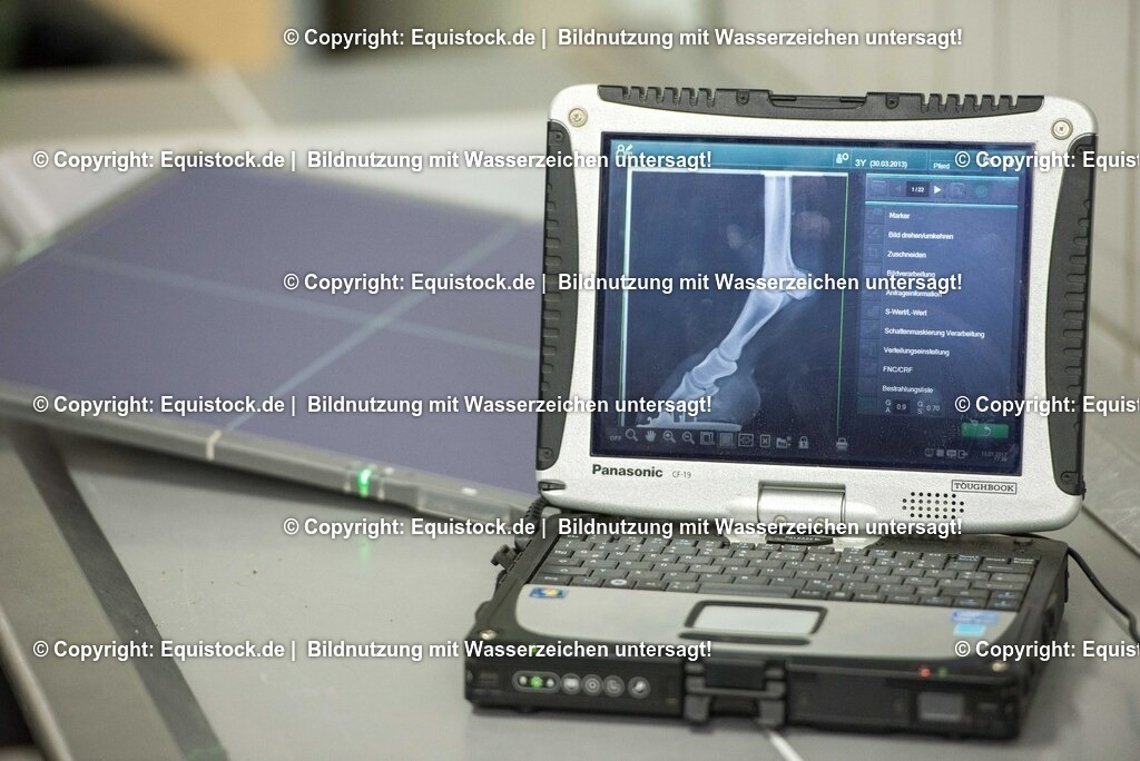 20170113_R__ntgen_0008 | Foto: Thomas Hartig