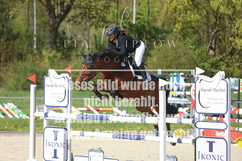 IMGM2552 | pl-fotografie