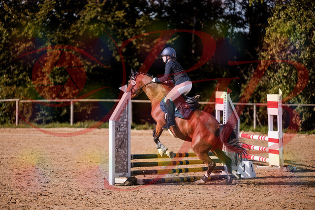2026_10_03_Siefer-Hof_155314_Z81_72591325 | Professionelle Reitsport-, Turnier- und Eventfotografie von Robert Broda. Galerien mit ausgewählten und bearbeiteten Bildern direkt online ansehen und bestellen.