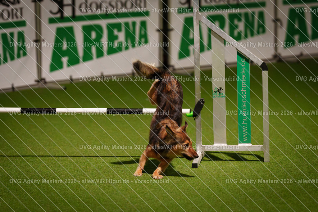 allesWIRTHgut_Tierfotografie-DVG_Agility_Masters_2026-17_55-7R506171 | Professionelle Tierfotografie in Mönchengladbach von Daniel Wirth (allesWIRTHgut). Liebevolle & natürliche Bilder von Hunden & Katzen für unvergessliche Erinnerungen.