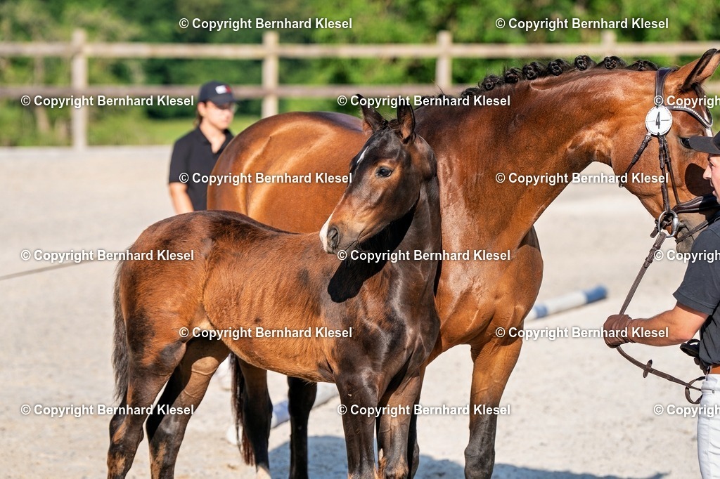 2A905771 | foto-team-bernhard - Realisiert mit Pictrs.com