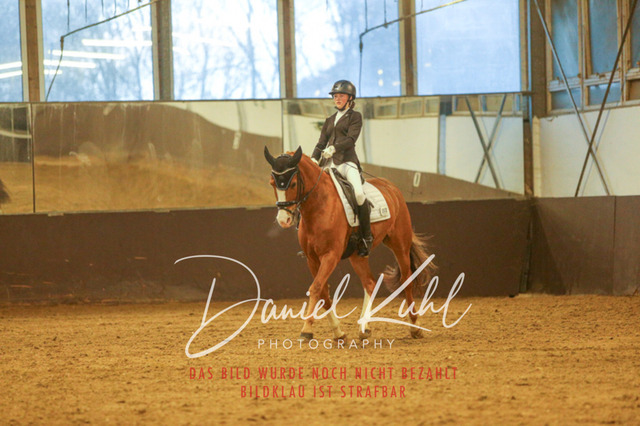 IMG_8273 | Turniersportfotografie; Pferdefotografie; Dressurfotografie