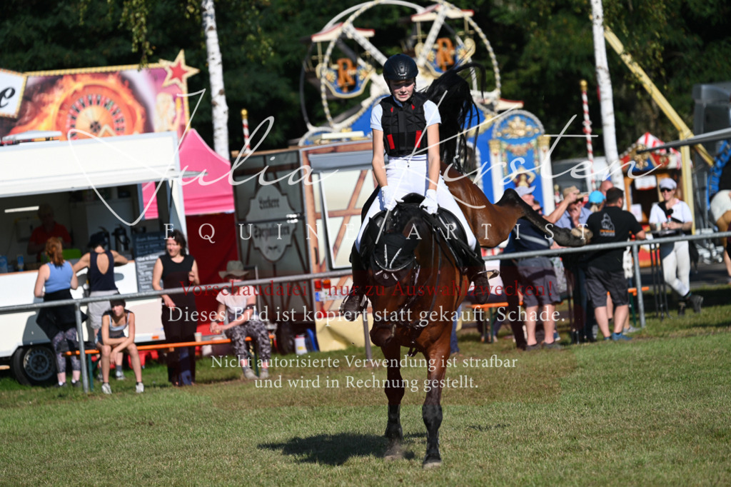 DSC_5163 | Pferde- und Turnierfotografie in Westsachsen. Pferdeportraits, Auftragszeichnungen und intuitive Kunst.