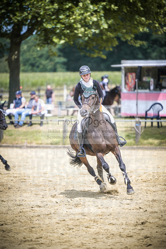 DOS_3185 | Entdecke hochwertige Reitturnierfotos von Foto Oger. Professionell, emotional und authentisch – jetzt Lieblingsmomente im Shop bestellen.Deutschlandweite Turnierfotografie. - Realisiert mit Pictrs.com