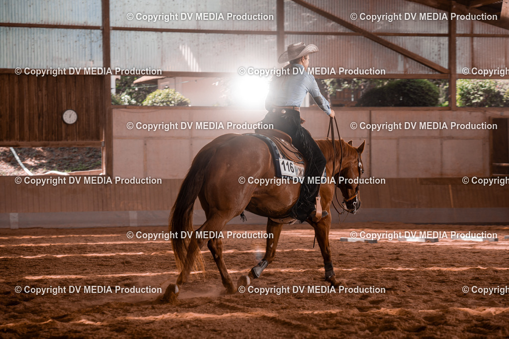 NE100513 | dv-media-shop - Realisiert mit Pictrs.com