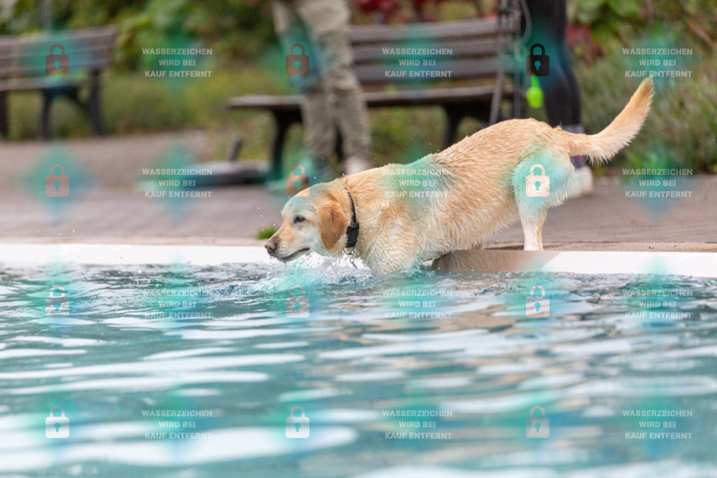 _HP_7148_1000o | HetPix, HetPix Fotodesign, Fotografie, Fotodesign, Webshop, Sportfotografie, Portraitfotografie, Onlineshop, Sportfotografie, Polch, Motorsportfotografie, Eventfotografie