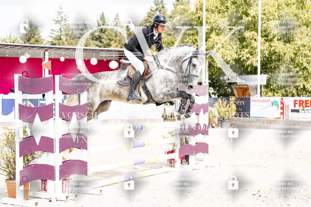 CK909186 | Turnierfotografie Pferdefotografie Trier Rheinland-Pfalz Pferdesport Reitsport Tierfotografie Sportfotografie Pferdevideo Pferdevideografie Equestrianvideography equestrianphotography  - Realisiert mit Pictrs.com