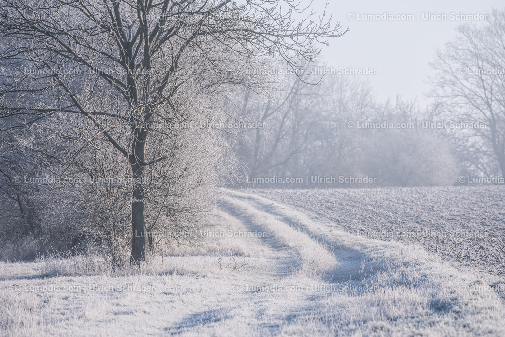 10049-12705 - Winterweg | Stockfoto und Bilderpool mit Bildmaterial aus Deutschland, dem Harz, Halberstadt, Quedlinburg, Wernigerode und weltweit. Qualitativ hochwertige und professionelle Fotos anschauen und kaufen. - Realisiert mit Pictrs.com