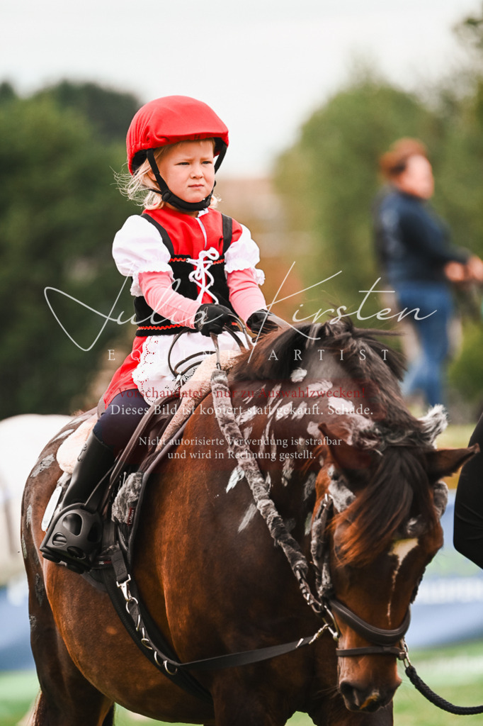 DSC_7384 | Pferde- und Turnierfotografie in Westsachsen. Pferdeportraits, Auftragszeichnungen und intuitive Kunst.