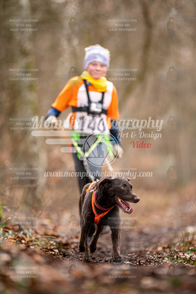 Reiat2023_SON_CaniXRun_5km_M-35 | PayLife