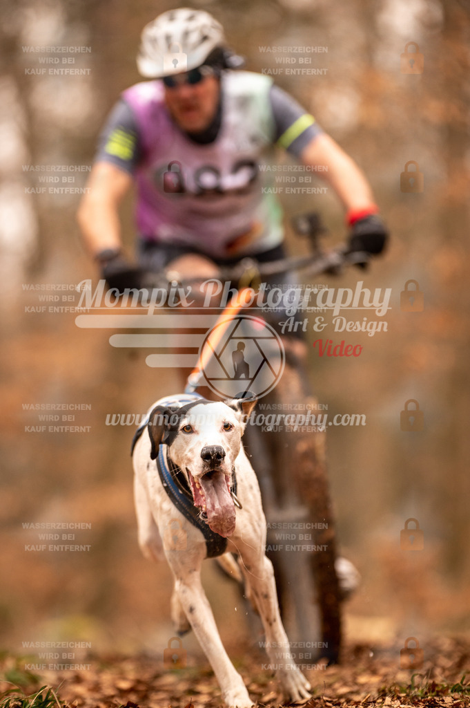 AKM_ST_2023_SAM_Bike-80 | PayLife