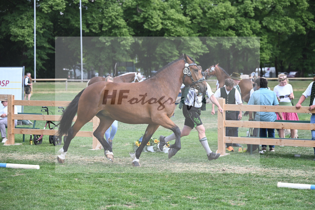 Kat-Nr. 69 Rosalie_Bauer_20231135 | hf-fotografie - Realisiert mit Pictrs.com