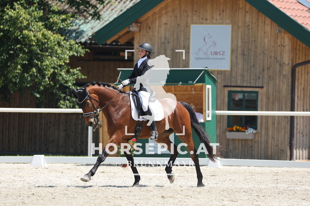 0P6A1617 | Willkommen bei Brunnmayr - Design & Fotografie – Ihrem Spezialisten für Reitturniere und Pferdeveranstaltungen in Oberösterreich, Salzburg und Bayern! Seit über 17 Jahren sind wir leidenschaftlich dabei.