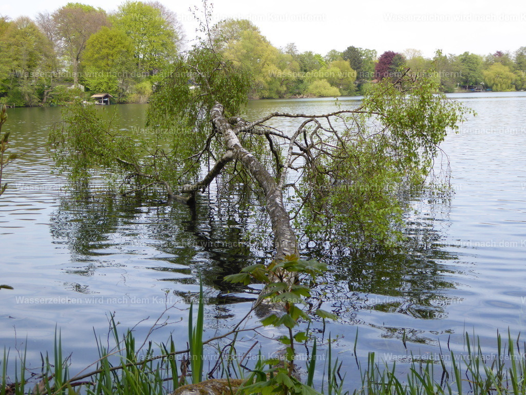 P1000461 | Entdecken Sie die faszinierende Welt von Norbert Michels: Surreale Kunstwerke, hochwertige Fotos, Leinwandbilder & Fotoprodukte wie Tassen mit bild7 - Realisiert mit Pictrs.com