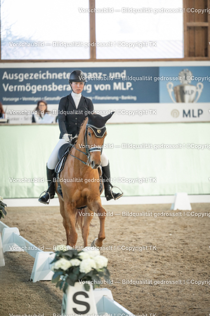 _D5A3305 | Emotionale Pferde- & People-Fotografie rund um Heidelberg, Leimen & Umgebung. Natürliche Fotos von Pferd, Mensch & Familie. Jetzt Termin sichern!