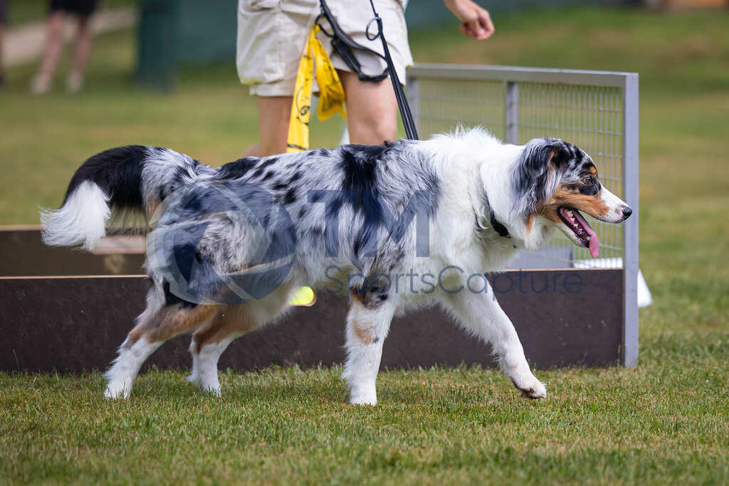 TP-20240815-0076 | Copyright: Trainproduction / Matthias Trinkl