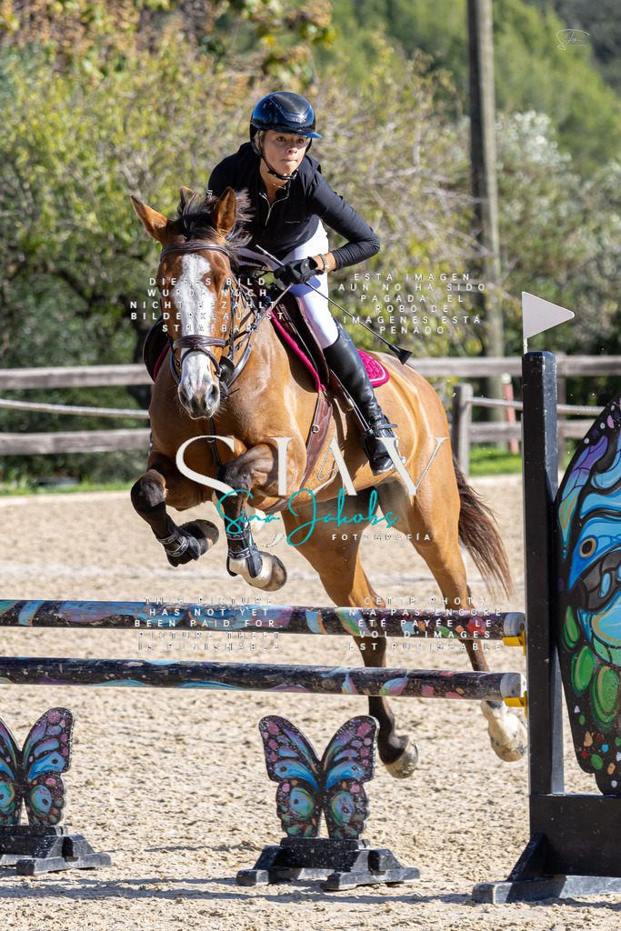 IMG_0773 | s-jay-photography - Realisiert mit Pictrs.com