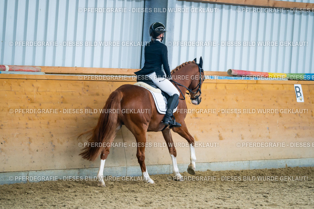 DSC05434 | Pferdegrafie