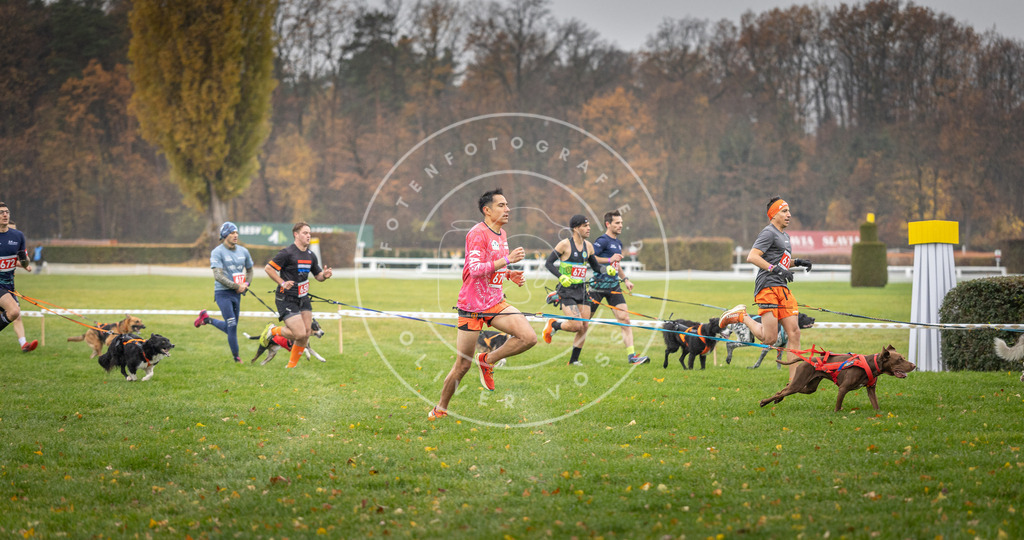 CaniXpix_DV3A9509 | Hundefotografie, Tierfotograf, Pfotenfotografie, Fotoshooting Hund, Hunde Portrait, Hundesport, Hundeportraits, Heideshooting, Hunde, Sportfotograf, Hundefotograf, Turnierhundsport, THS,  - Realisiert mit Pictrs.com