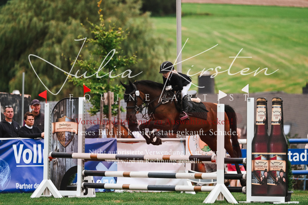 DSC_6276 | Pferde- und Turnierfotografie in Westsachsen. Pferdeportraits, Auftragszeichnungen und intuitive Kunst.