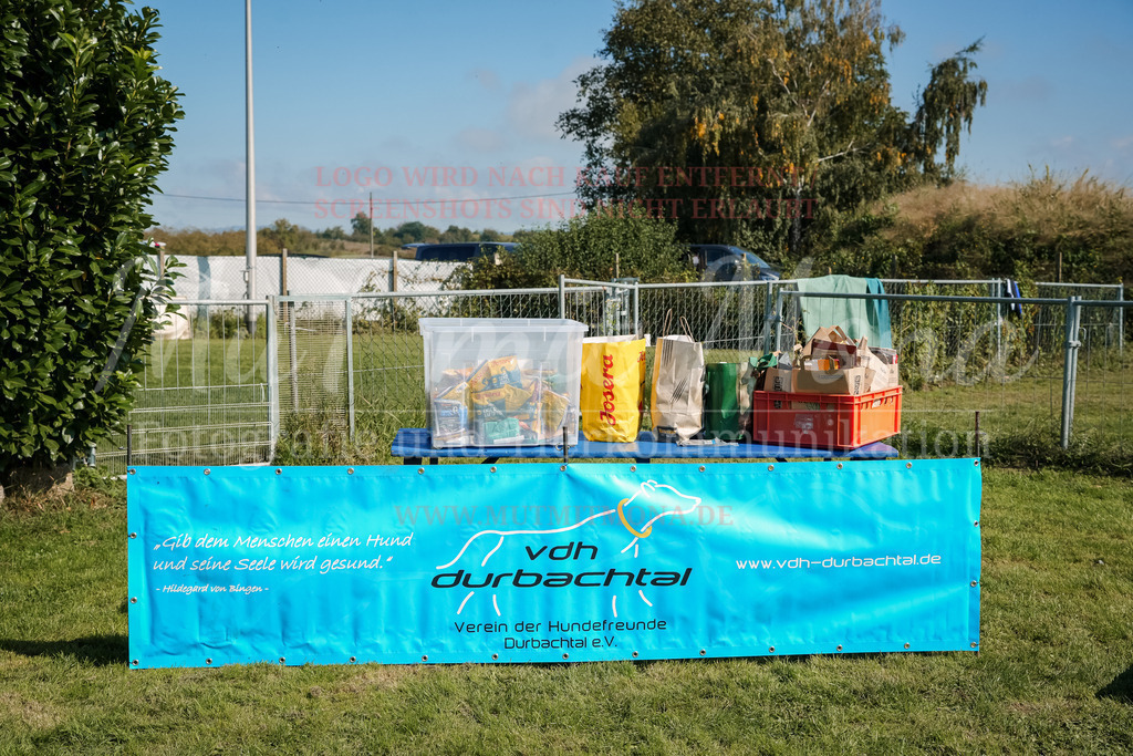 20250928_Hunderennen-720 | MuT (Mensch und Tier) mit Mona - Fotografie und Tierkommunikation - Realisiert mit Pictrs.com