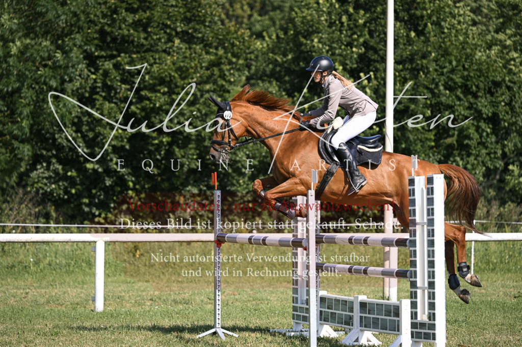 DSC_1299 | Pferde- und Turnierfotografie in Westsachsen. Pferdeportraits, Auftragszeichnungen und intuitive Kunst.