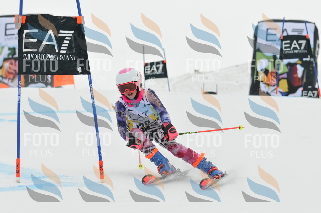 DSC_8280 | holidayphoto