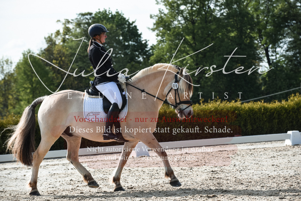 20230518_JK-Röhrsdorf-09-1097 | Pferde- und Turnierfotografie in Westsachsen. Pferdeportraits, Auftragszeichnungen und intuitive Kunst.