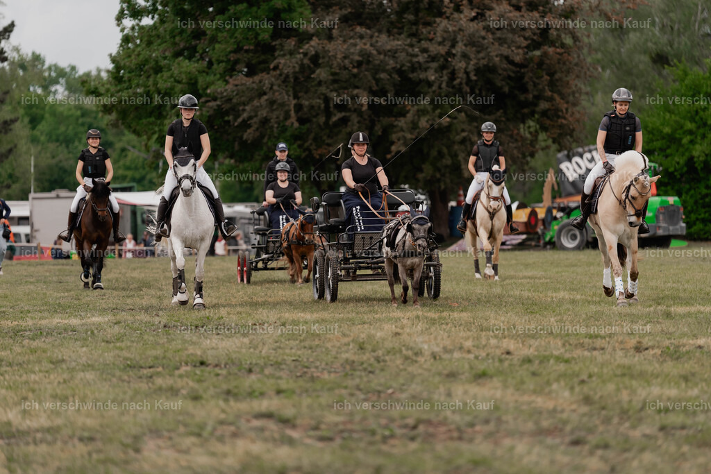 Showprogramm-378 | working equitationturnier fotograf videograf stoibphotography marixx film working equitation deutschland reitsport turnierfotografie eventfotografie equestrian events
