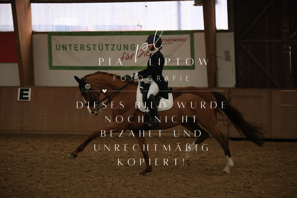 IMGT6027 | pl-fotografie