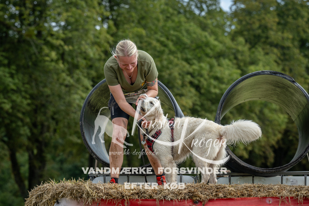 0955_ZZ91677 | kk-dogfotos