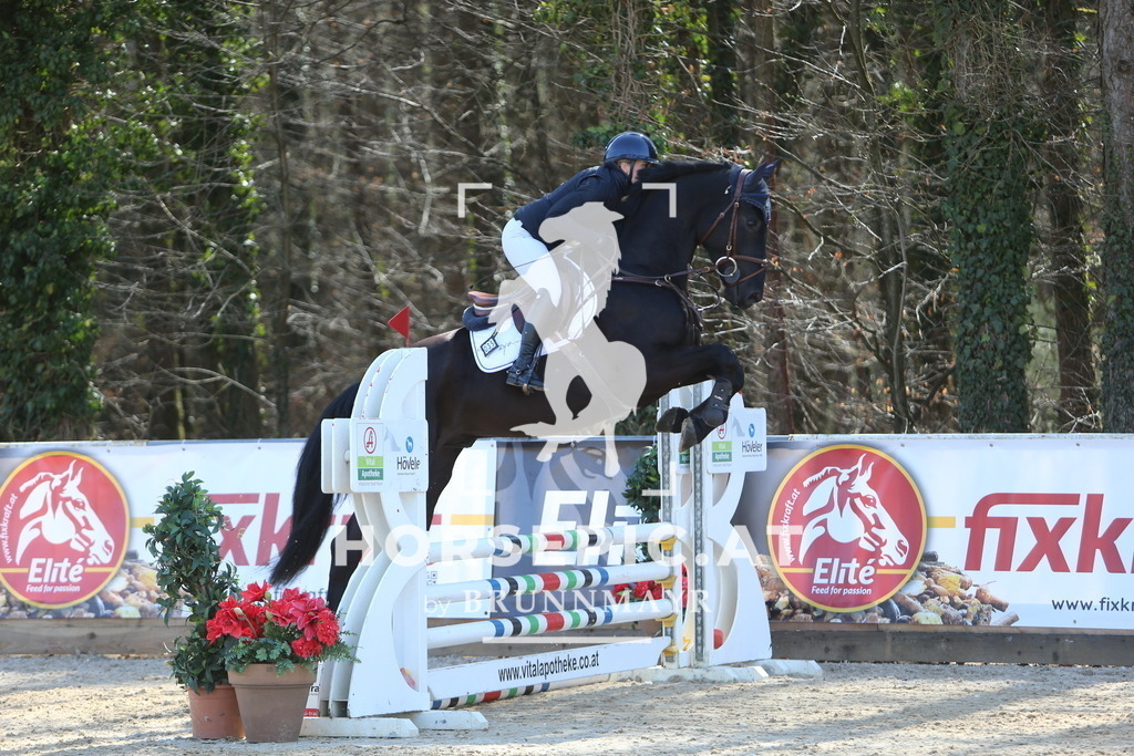 DL2Q3378 | Willkommen bei Brunnmayr - Design & Fotografie – Ihrem Spezialisten für Reitturniere und Pferdeveranstaltungen in Oberösterreich, Salzburg und Bayern! Seit über 17 Jahren sind wir leidenschaftlich dabei.