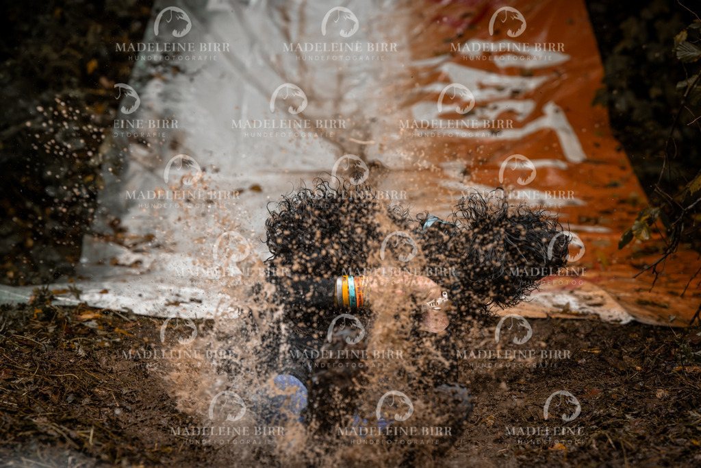 madeleinebirr-fotografie2025.campcanis.sa.10-11Uhr-190 | hundefotografie-birr