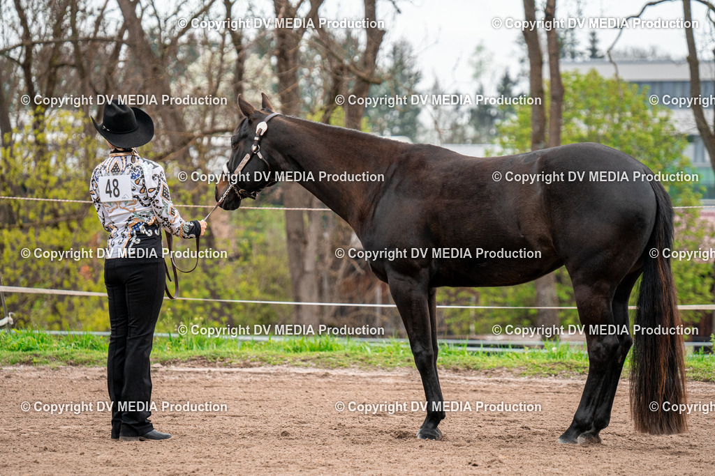 BA300131 | dv-media-shop - Realisiert mit Pictrs.com