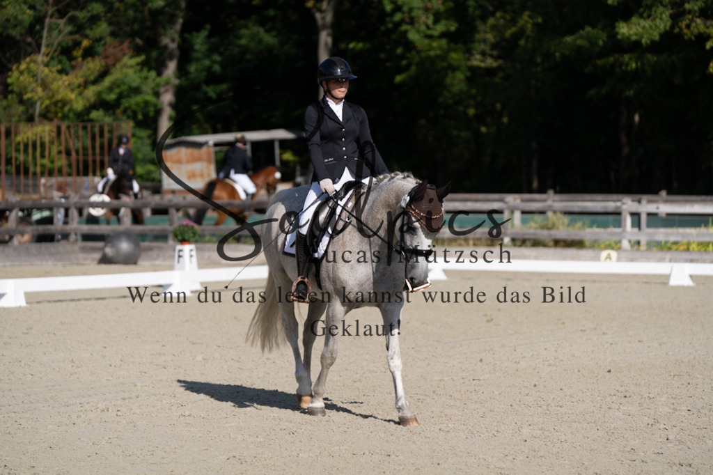 A7V06889 | Turnier/Reitfotograf