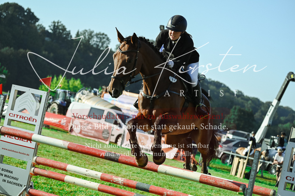 DSC_4535 | Pferde- und Turnierfotografie in Westsachsen. Pferdeportraits, Auftragszeichnungen und intuitive Kunst.