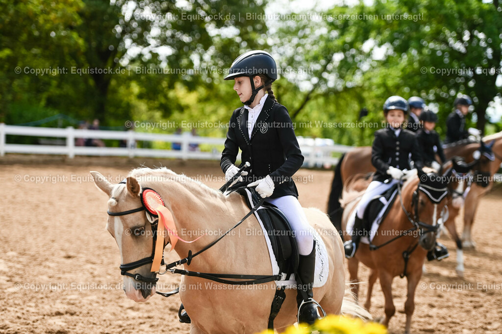 20230716_10-3_Reiter-WB Schritt - Trab - Galopp_0243 | equistock