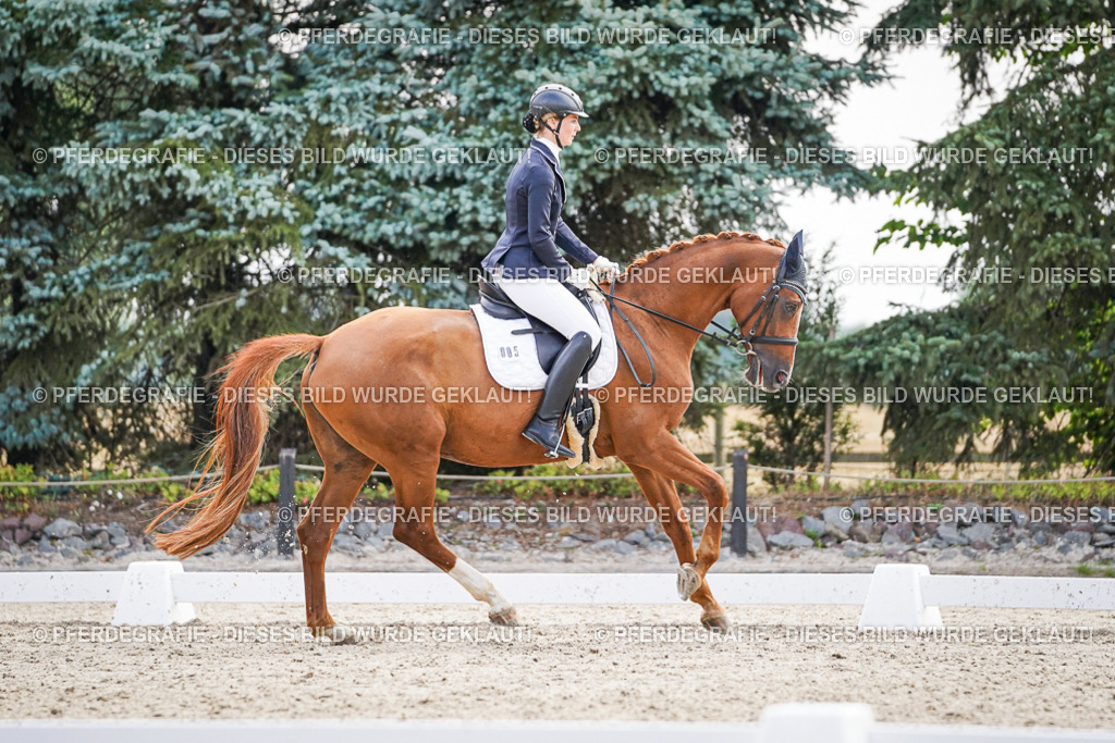 DSC00607 | Pferdegrafie